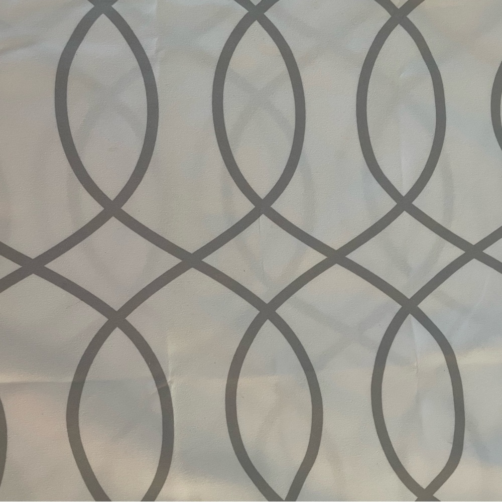 Shower curtain and hooks
